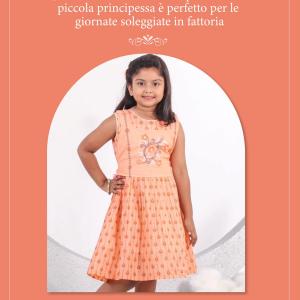 Peach Frock Dress
