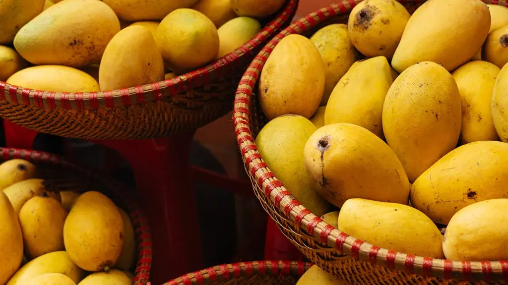 Golden Honey Mangoes
